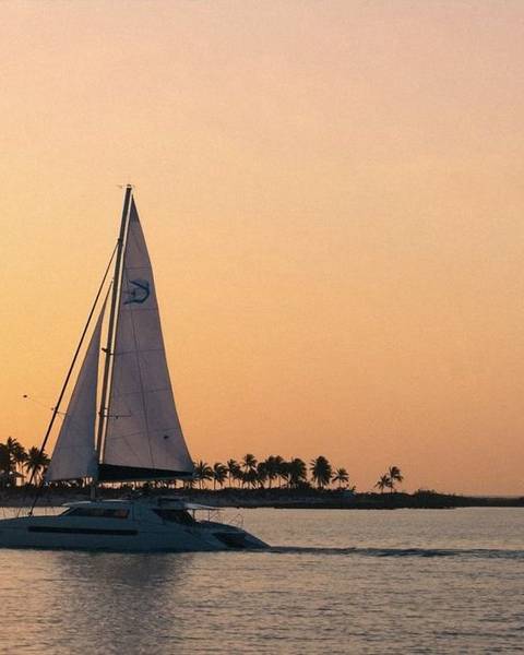 Your Sailing Company, photograph 1